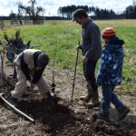 Pflanzaktion Igel Stand: 15.3.2023