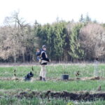 Pflanzaktion Igel Stand: 15.3.2023