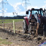 Pflanzaktion Igel Stand: 15.3.2023