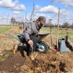 Pflanzaktion Igel Stand: 15.3.2023