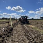 Pflanzaktion Igel Stand: 15.3.2023