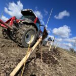 Pflanzaktion Igel Stand: 15.3.2023