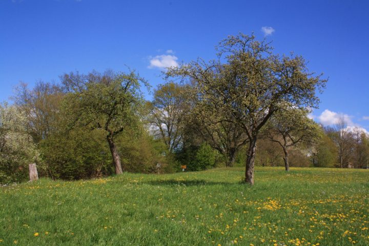 Landschaftsschutzgebiet_Hessische_Rhoen_21-scaled